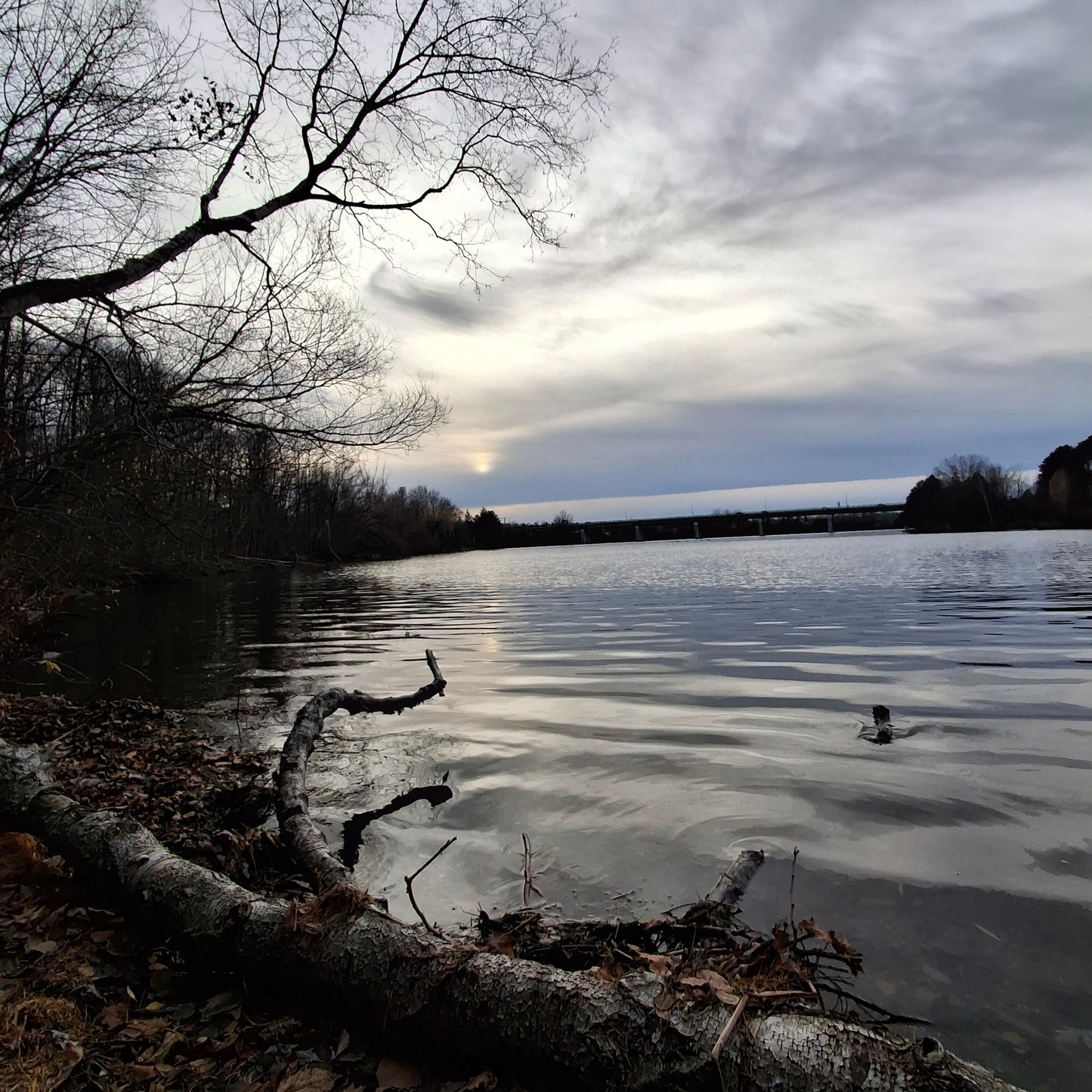 2024-11-17 15:26 (View 1)
