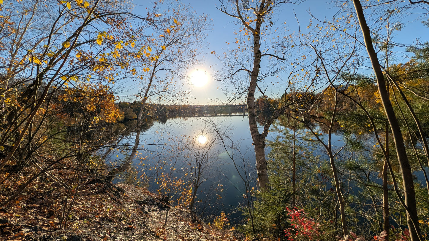 2026-10-21 16:42 (Vue 2.3)