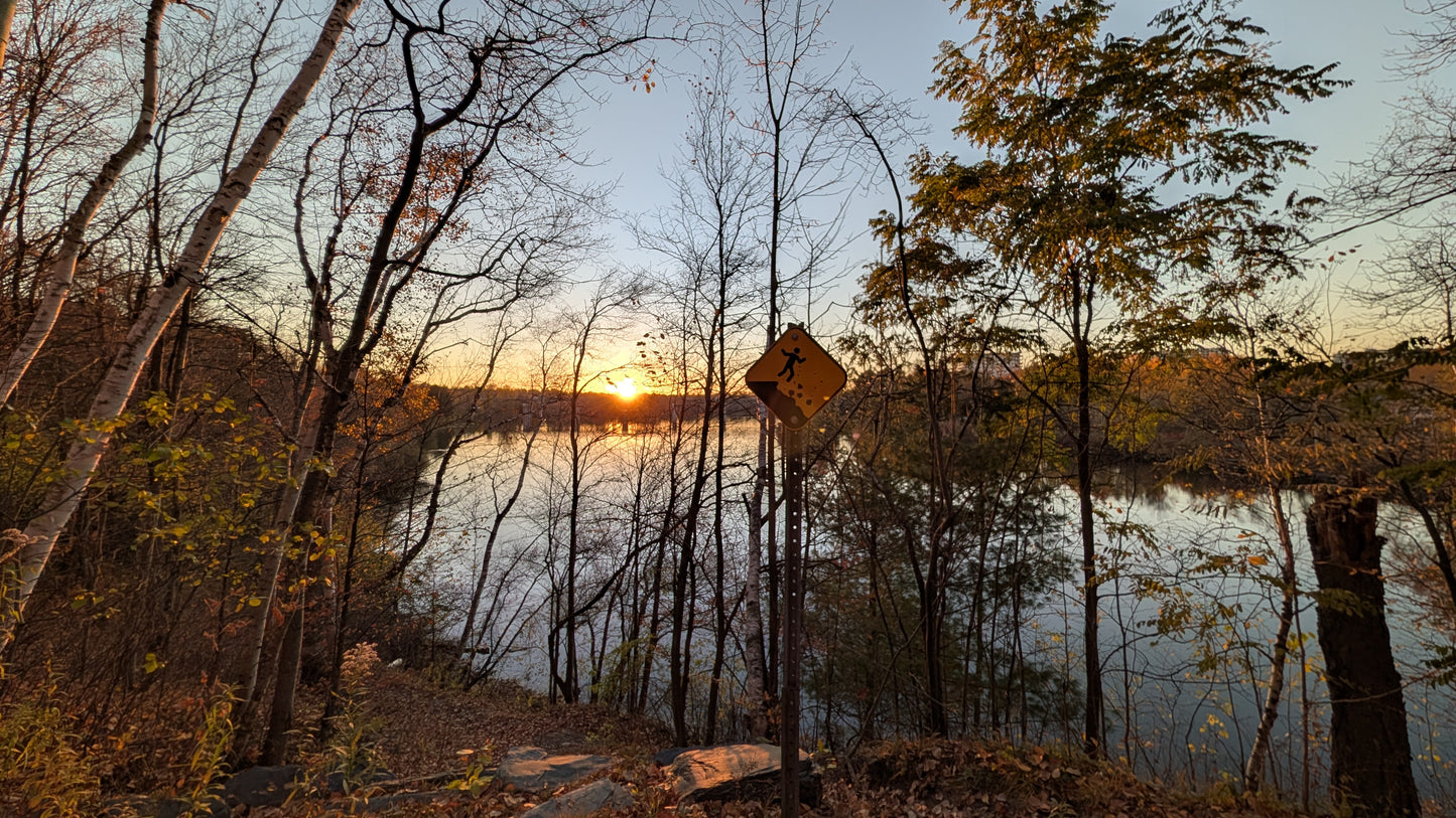 2026-10-21 17:41 (Vue 3)