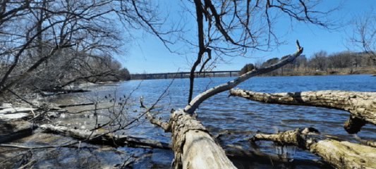 2022-04-02 El Registro (Vista C1) (Animación)