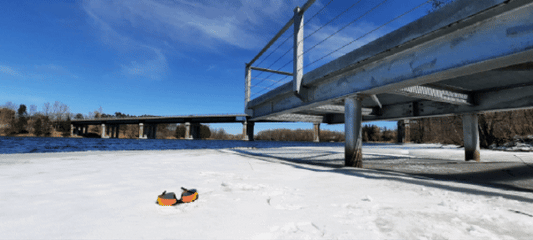 2022-04-02 Encuentra las gafas (Ver T1) (Animación)