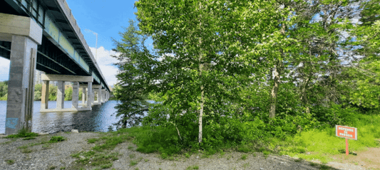 No voy a Strom Spa (Animación)