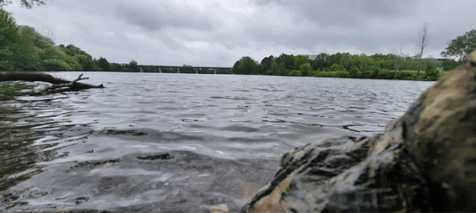 2022-06-18 (Ver 1) Animación