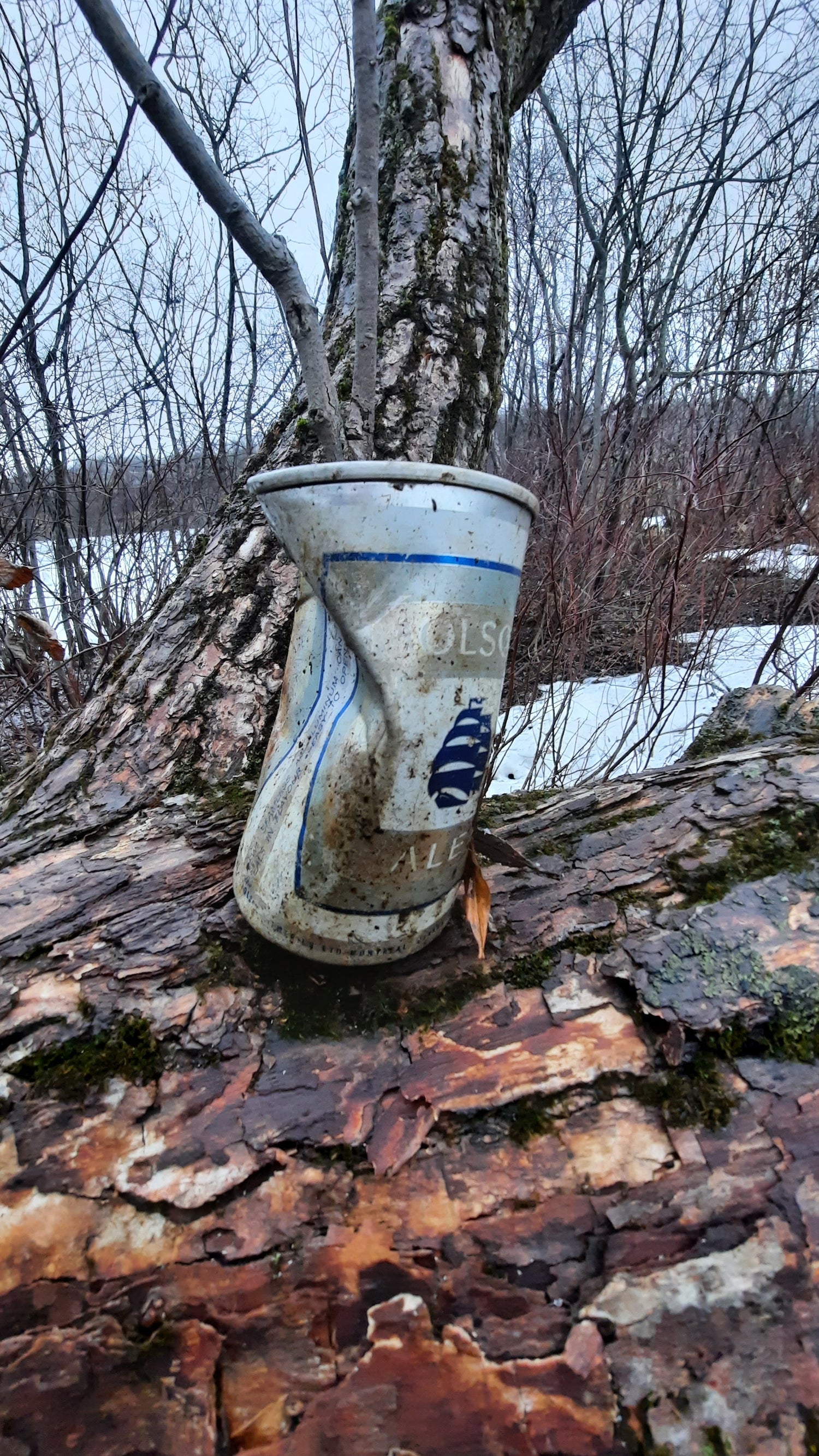 Molson D’une Autre Époque. (Pour Les Collectionneurs Seulement) 2021-03-27 Déchets