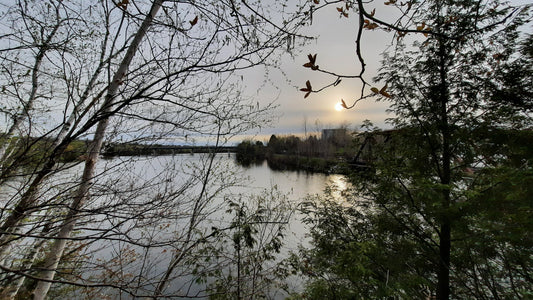 Le Soleil Du 8 Mai 2021 (Vue 2.3)