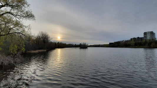 Le Soleil Du 8 Mai 2021 (Vue Titanic Ouest)