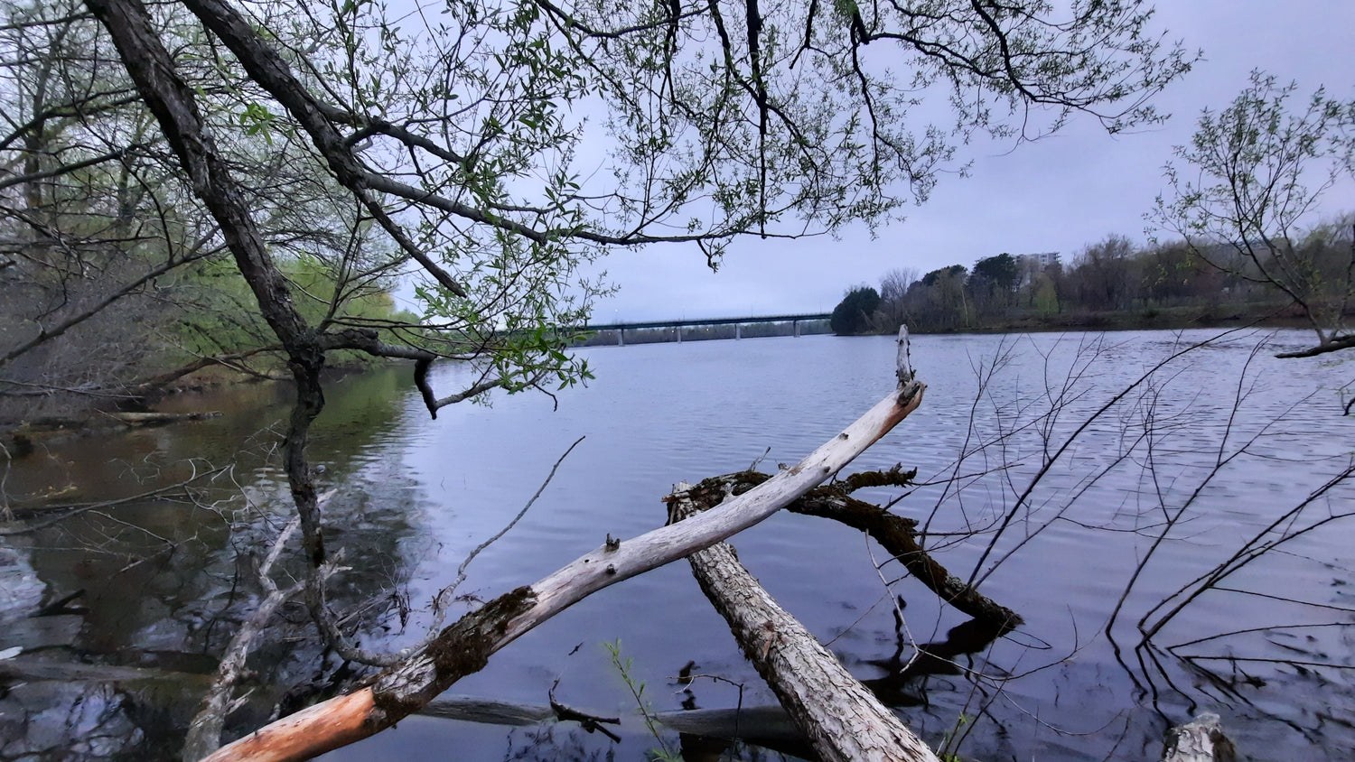 12 Mai 2021 (Vue C1)