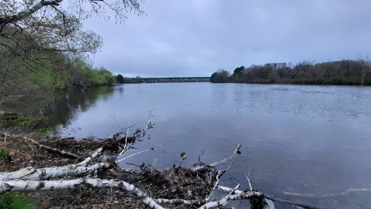 12 Mai 2021 (Vue 1)