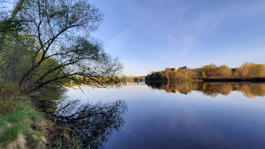 15 Mai 2021 (Vue S1)