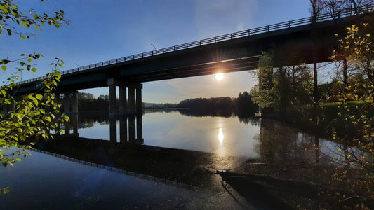 Le Soleil Du 15 Mai 2021 (Vue Arbre Kayak)