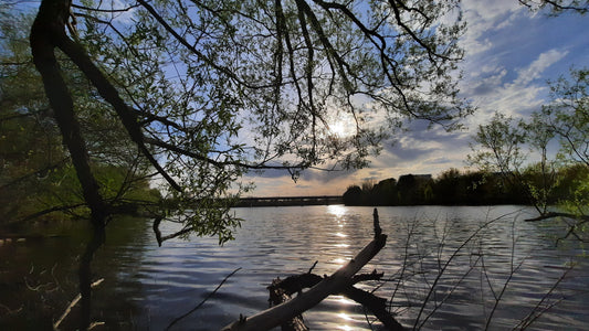 15 Mai 2021 (Vue C1)