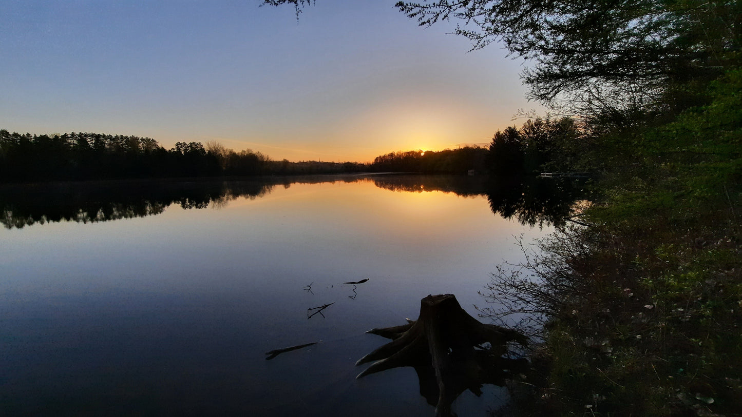 Le Soleil Du 16 Mai 2021 (Vue Souche)