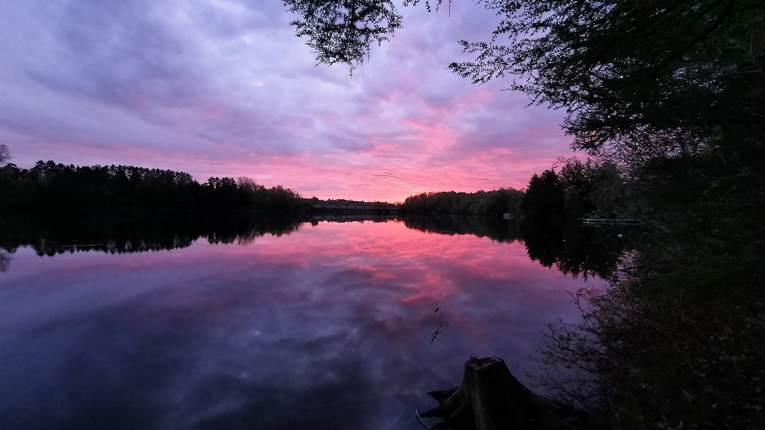 19 Mai 2021 (Vue Souche) Aube Rose