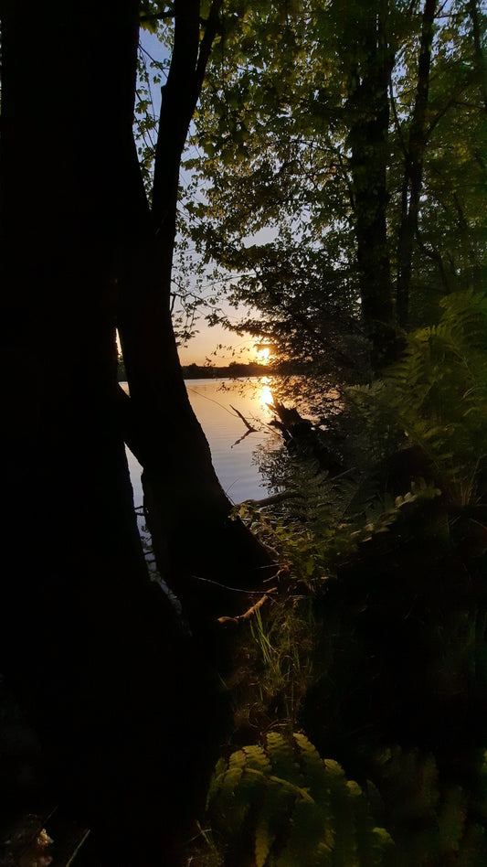 Le Soleil Du Lac Des Nations 25 Mai 2021 (Vue Sm50)