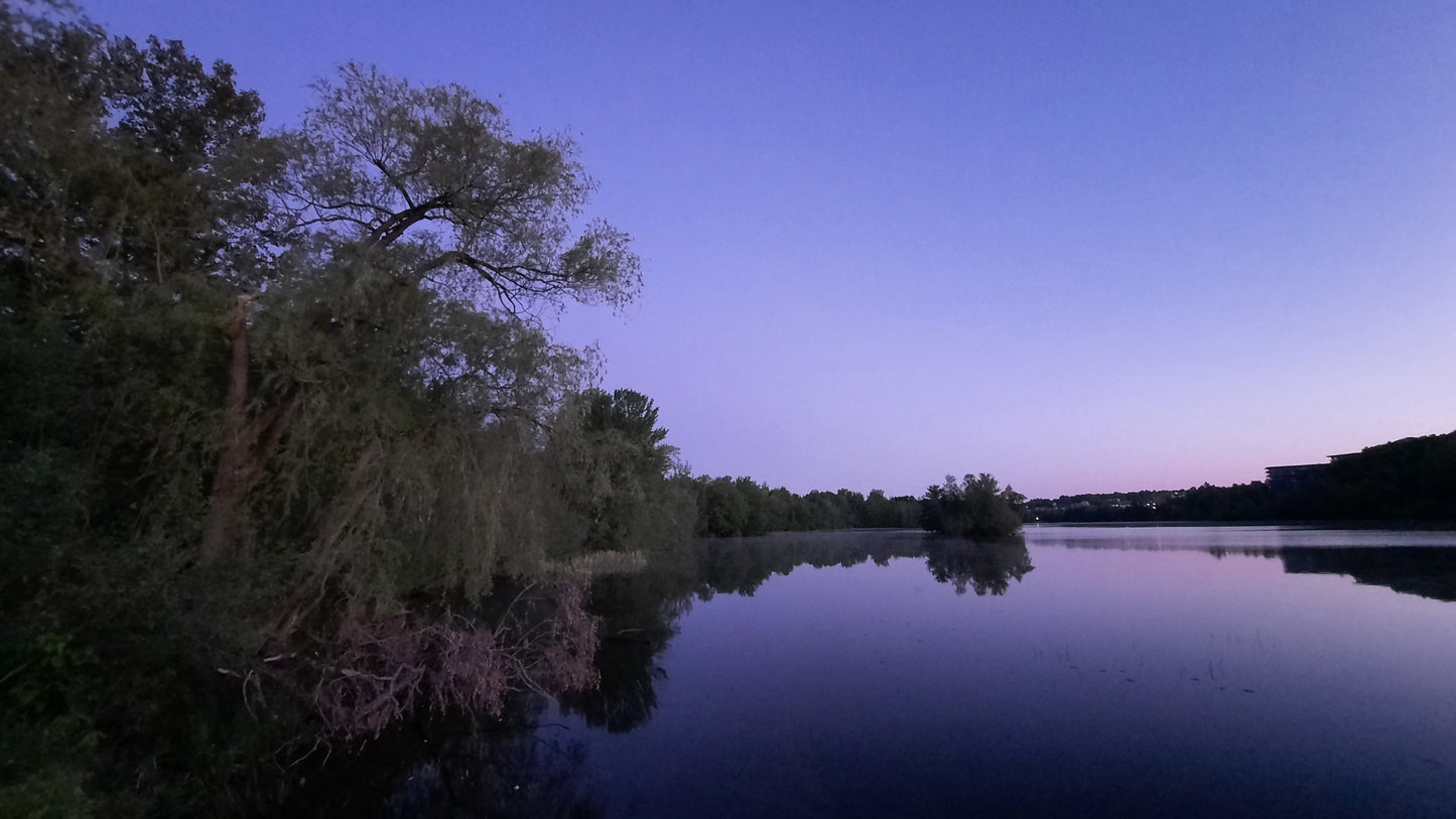 Aube Du 29 Mai 2021 (Vue T2) Saule