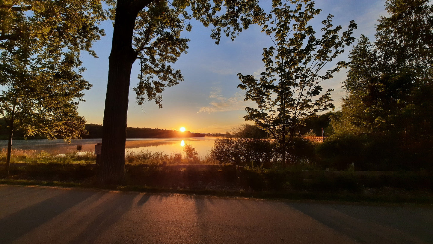 Soleil Du 29 Mai 2021 (Vue Bp3)