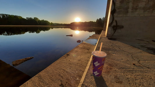 Les Déchets Et Le Soleil Du 2 Juin 2021 (Vue Pspne)