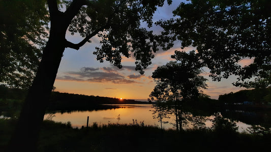 Trouve Soleil Du 6 Juin 2021 (Vue Bp1) 5H20