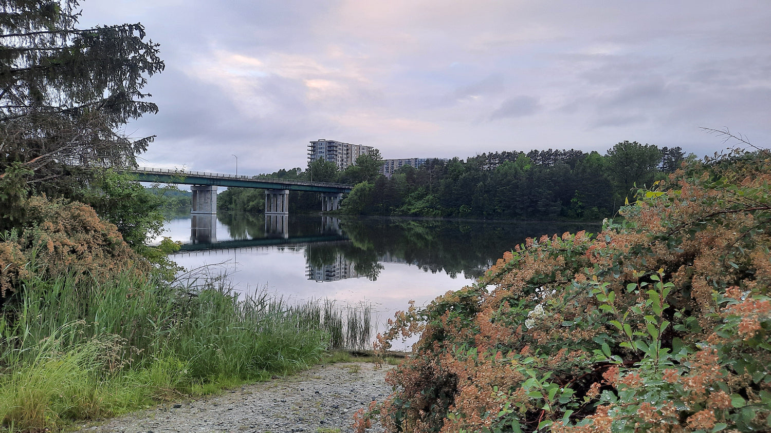 Matin 15 Juin 2021 (Vue P1) 5H36