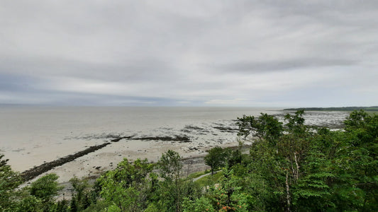 Vue Auberge De La Pointe Rivière-Du-Loup 1 Juillet 2021 (Jour 9)