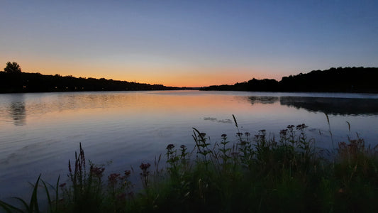 Lac Des Nations Aube 24 Juillet 2021 (Vue Pr1) 5H11