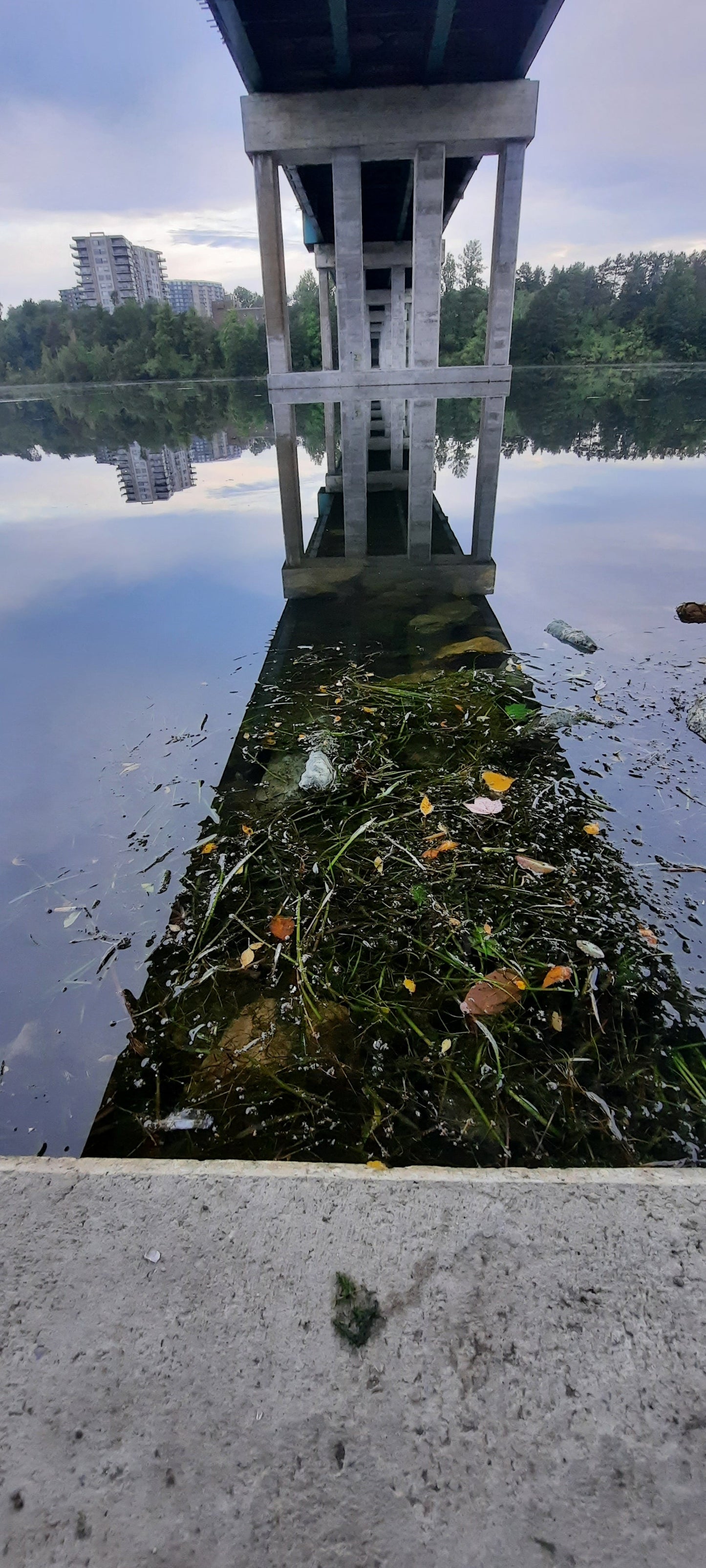 Les Feuilles Sous Le Pont Du 9 Septembre 2021 6H43 (Vue Spn) Jacques Cartier De Sherbrooke