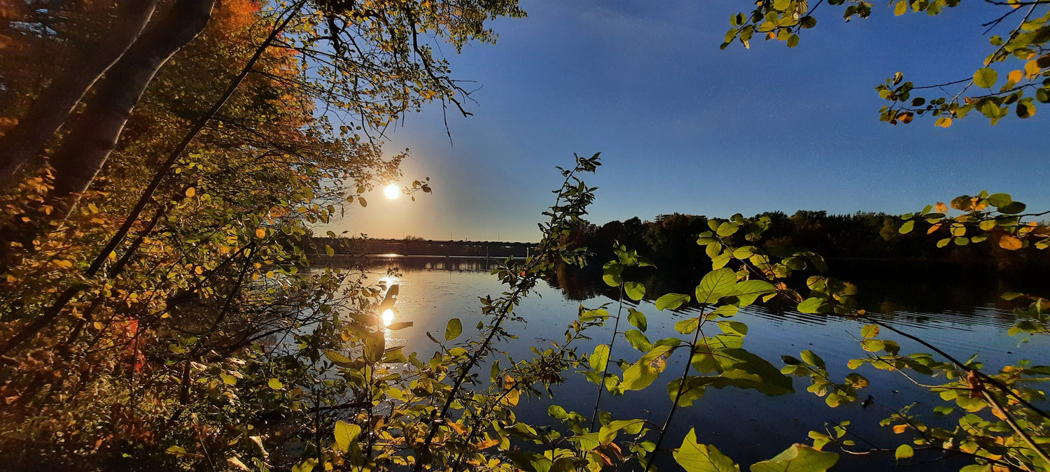 Soleil Intense Du 6 Octobre 2021 17H26 (Vue 0)  Rivière Magog À Sherbrooke. Pont Jacques Cartier.