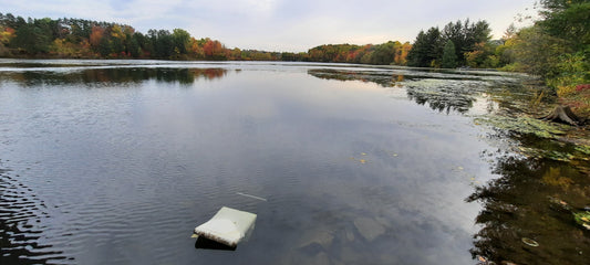 Trouve La Chaise Du 10 Octobre 2021 7H53 (Vue Spne)