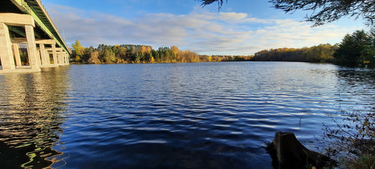 Le Pont Jacques Cartier De Sherbrooke 28 Octobre 2021 8H24 (Vue Souche2)