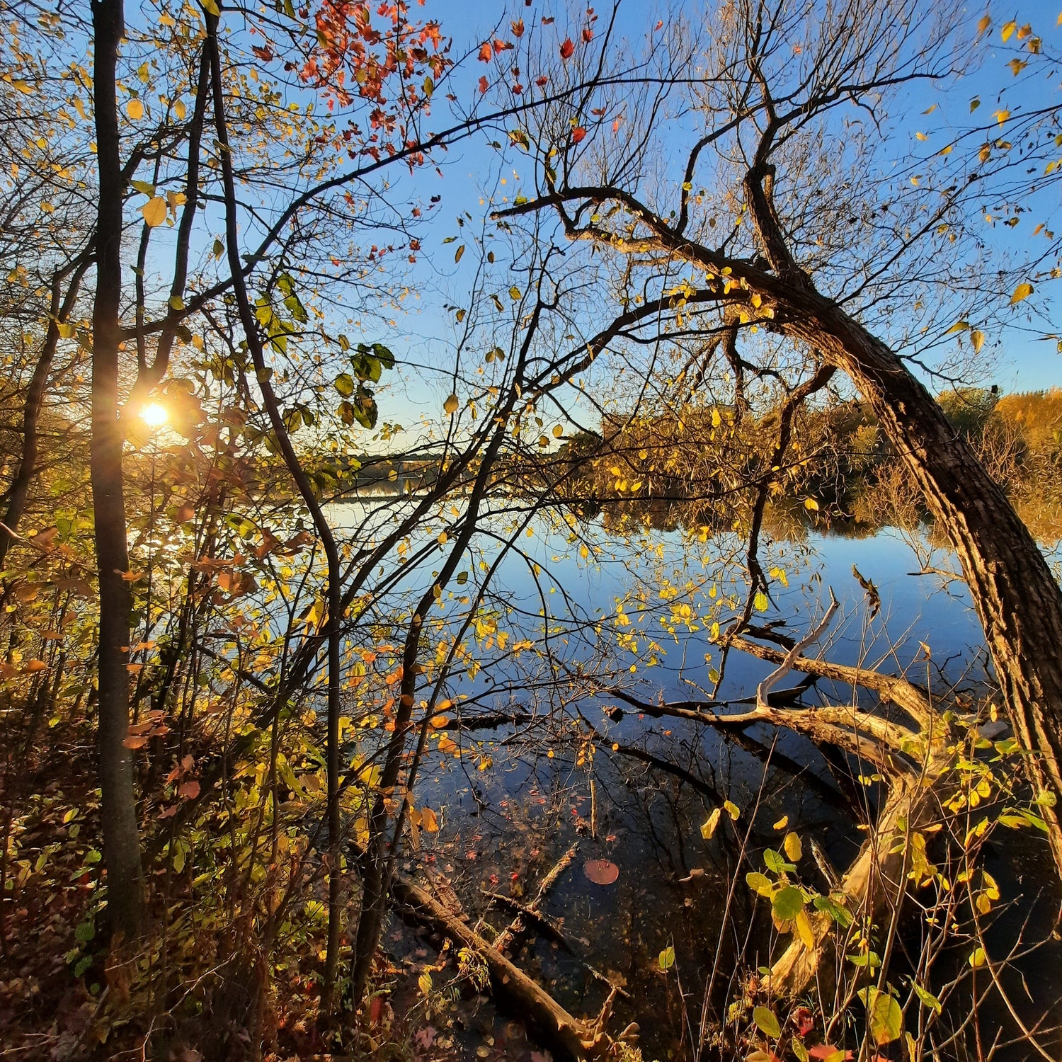 Le Soleil Merveilleux Du 29 Octobre 2021 17H01 (Vue C1)