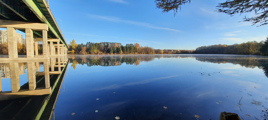 Le Froid Du 5 Novembre 2021 8H38 (Vue Souche2)