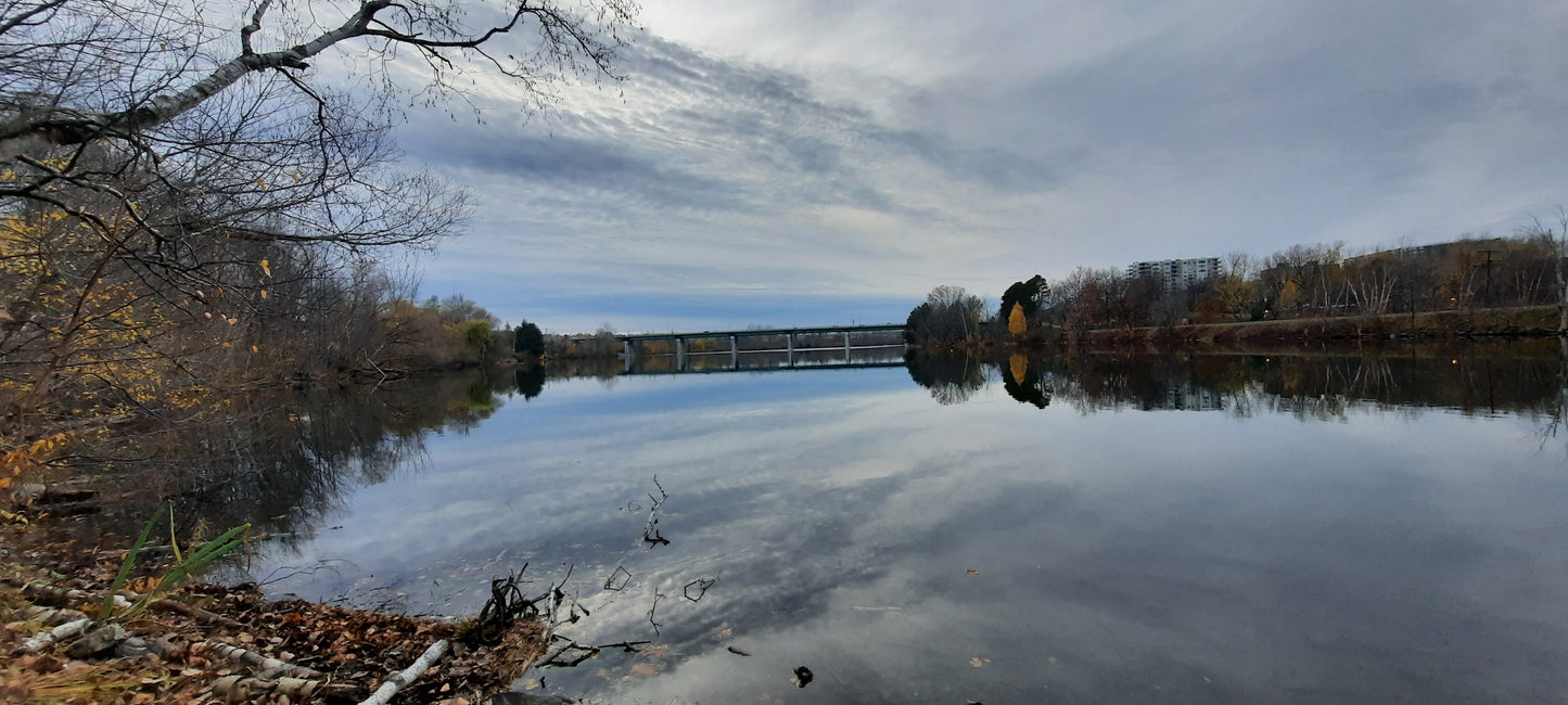 2021-11-11 16:01 Sherbrooke (Vue 1)