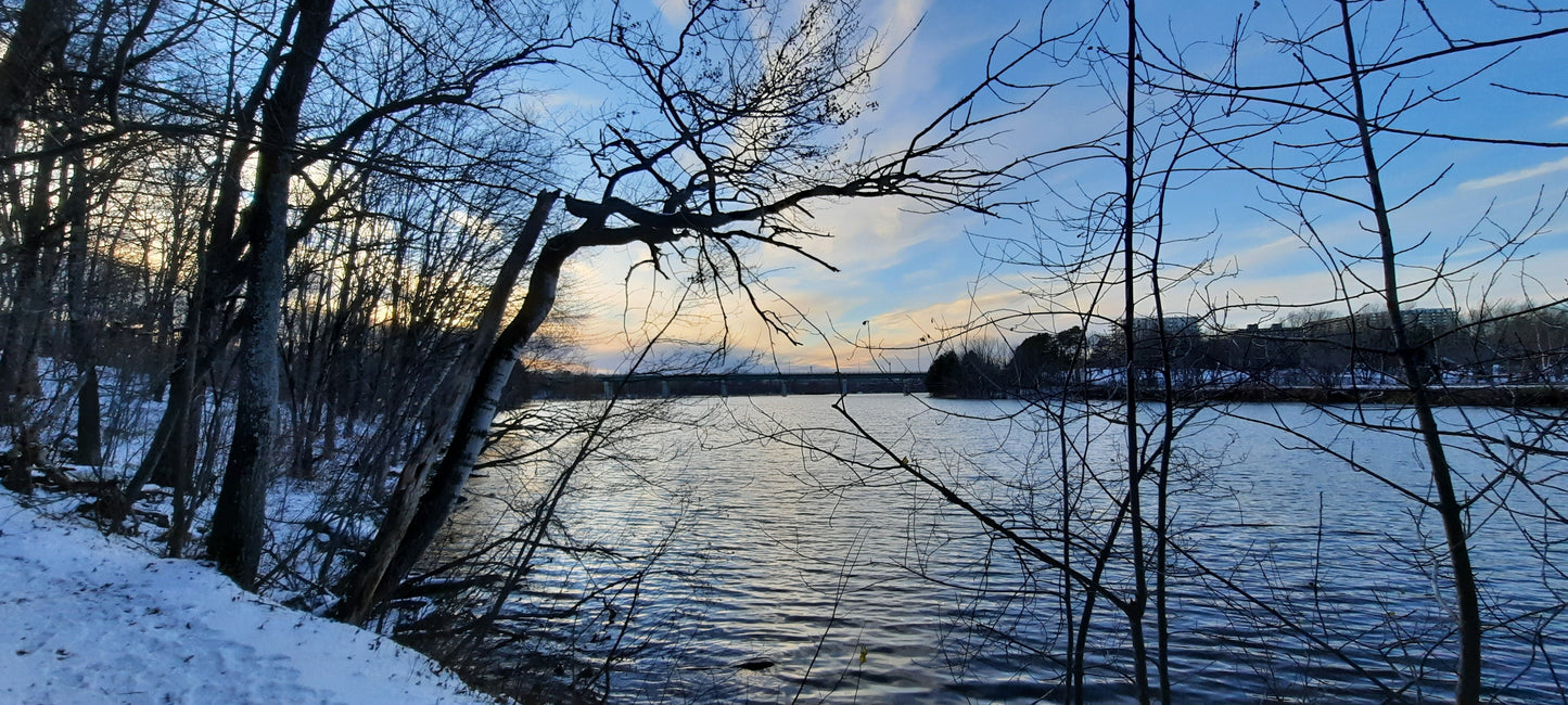 La Glace Est De Retour Sur La Rivière Magog - Journal Sherbrooke Du 2021-11-28 (15 Photos)