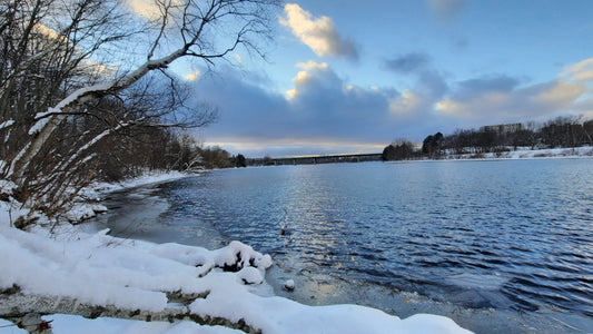 Journal De David-Rivière Magog 2021-12-19 (Vue 1) 4 Photos