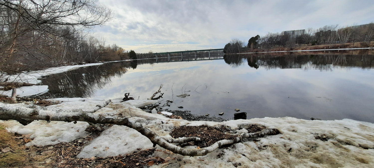 La Chaleur Du 23 Mars 2022 Et Le Pont Noir De Sherbrooke (Vue 1)