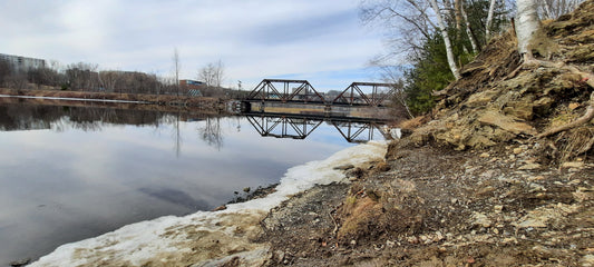 La Chaleur Du 23 Mars 2022 Et Le Pont Noir De Sherbrooke (Vue 1)