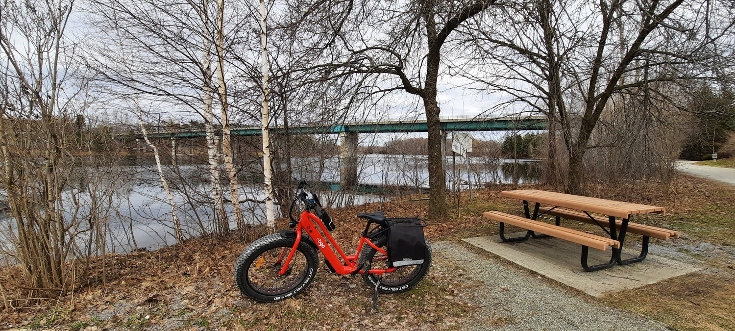 2022-04-24 (Vue T1) Trouve Le Vélo Ebgo