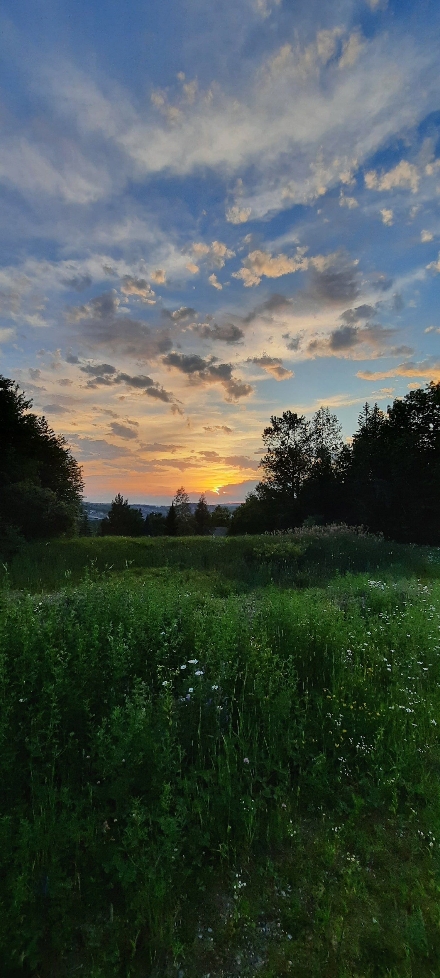 2022-07-01 Coucher De Soleil Fête Du Canada