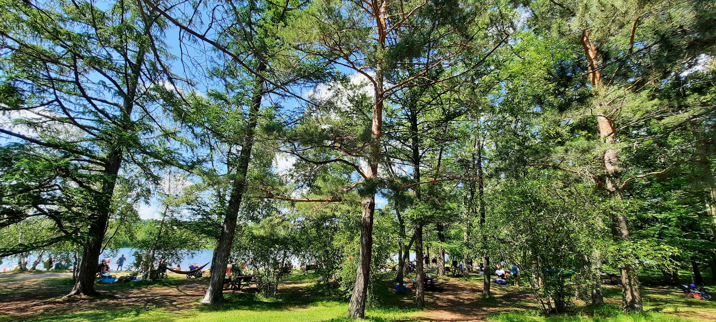 Plage Du Parc Blanchard À Sherbrooke (5 Photos)