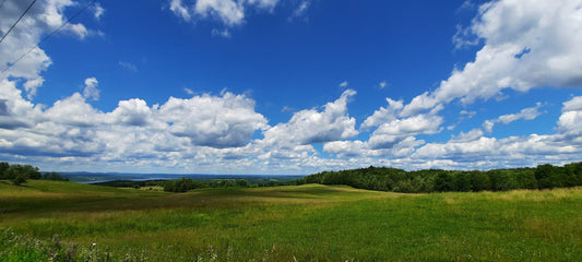 2022-07-03 Nuages Blancs Ciel Bleu Et Herbes Vertes