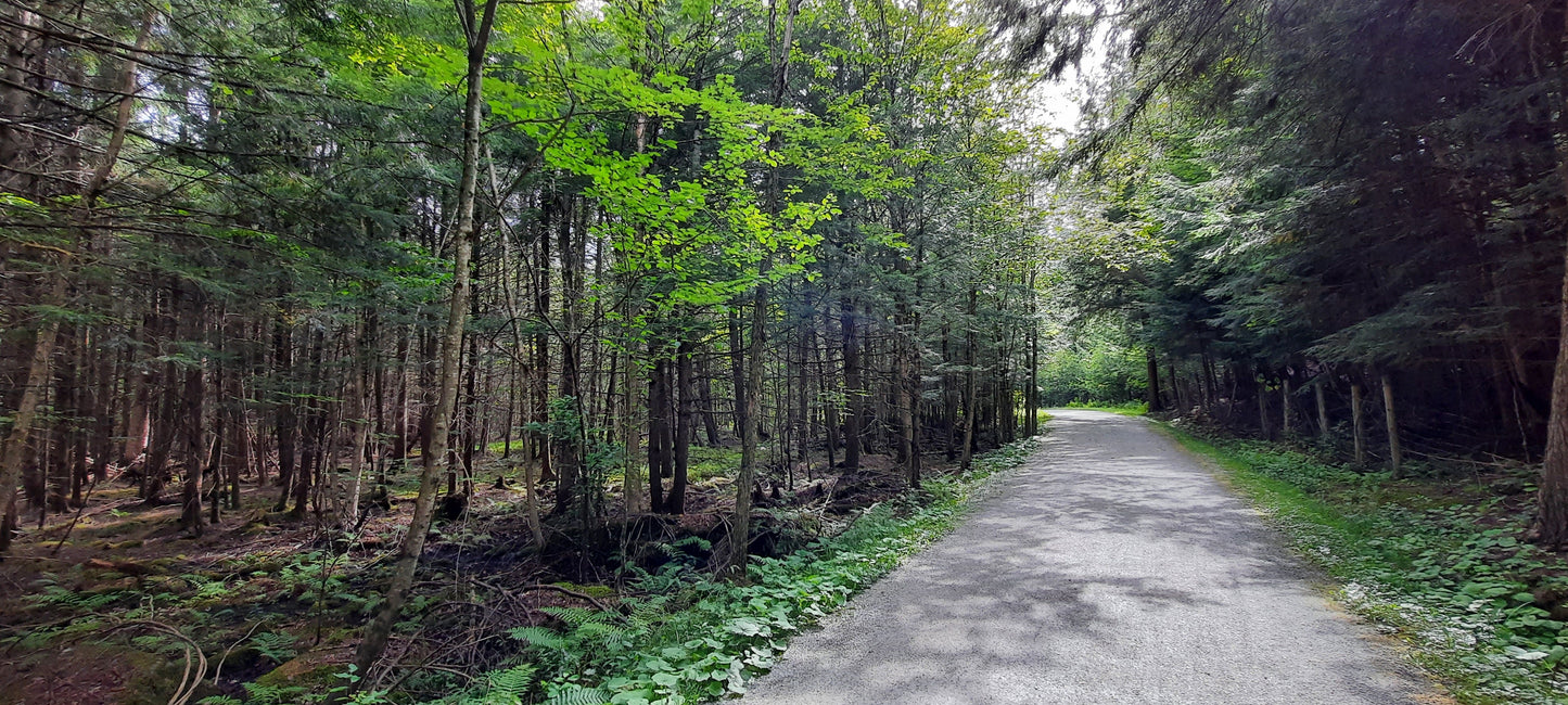 Sentier Du Ruisseau-Dorman