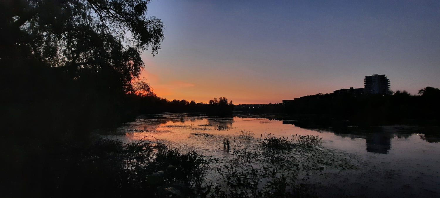 2022-09-10 19:22 Crépuscule (Vue T2)