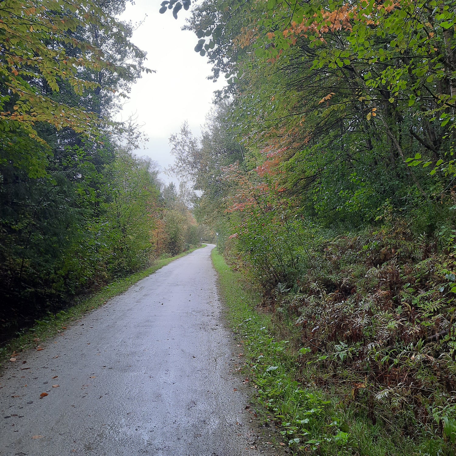 Jour 36 - Suppléance À Waterville En Vélo