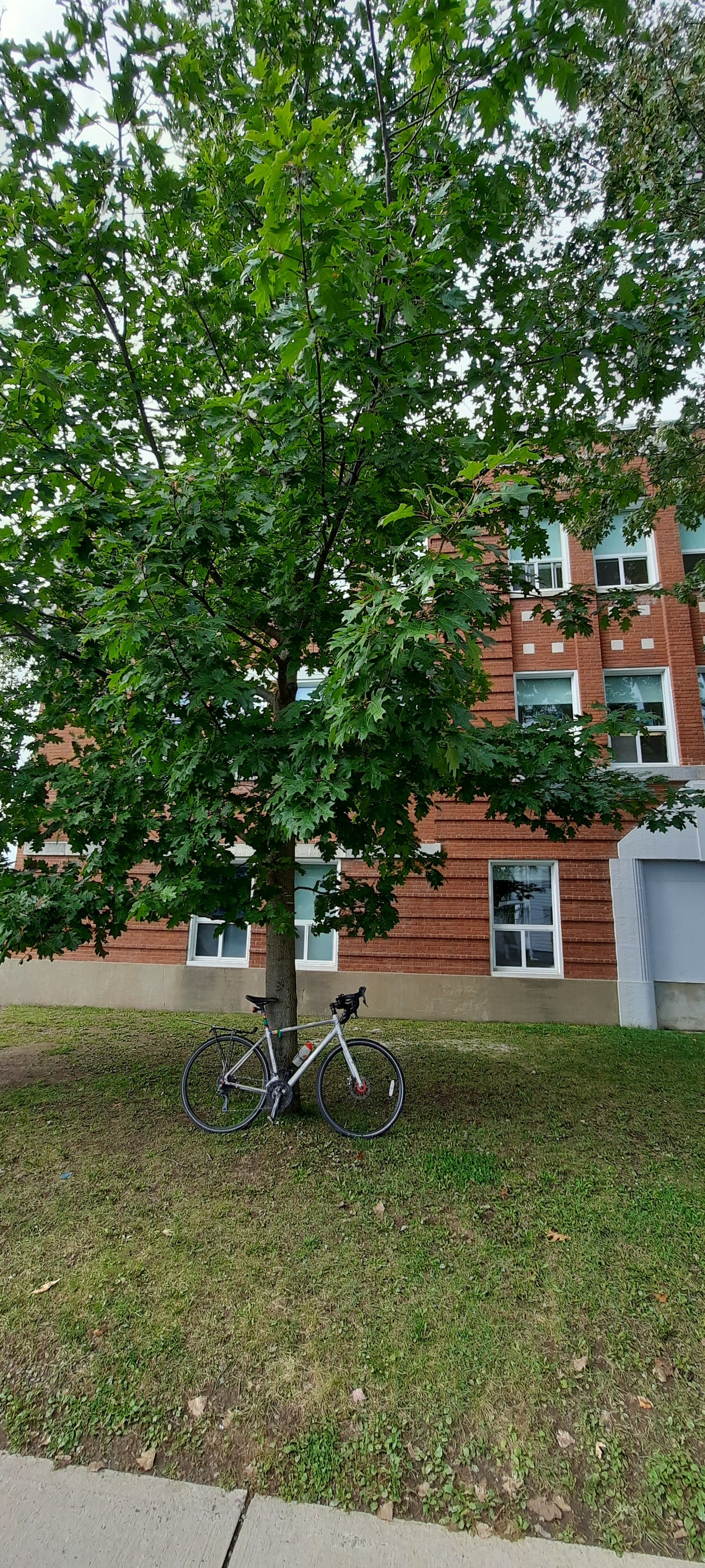 Ecole Saint-David De Victoriaville