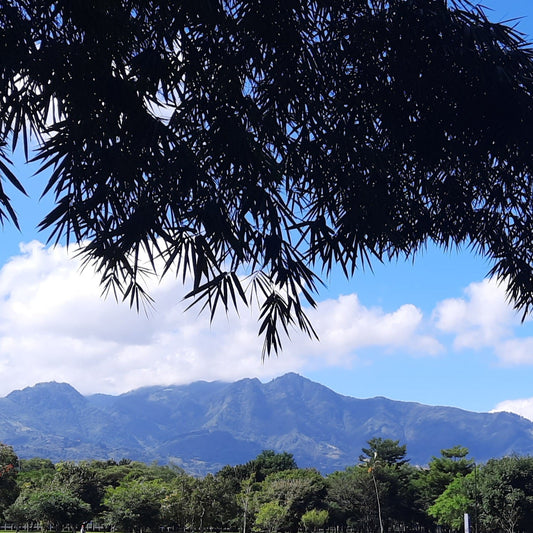 Montagnes Du Costa Rica