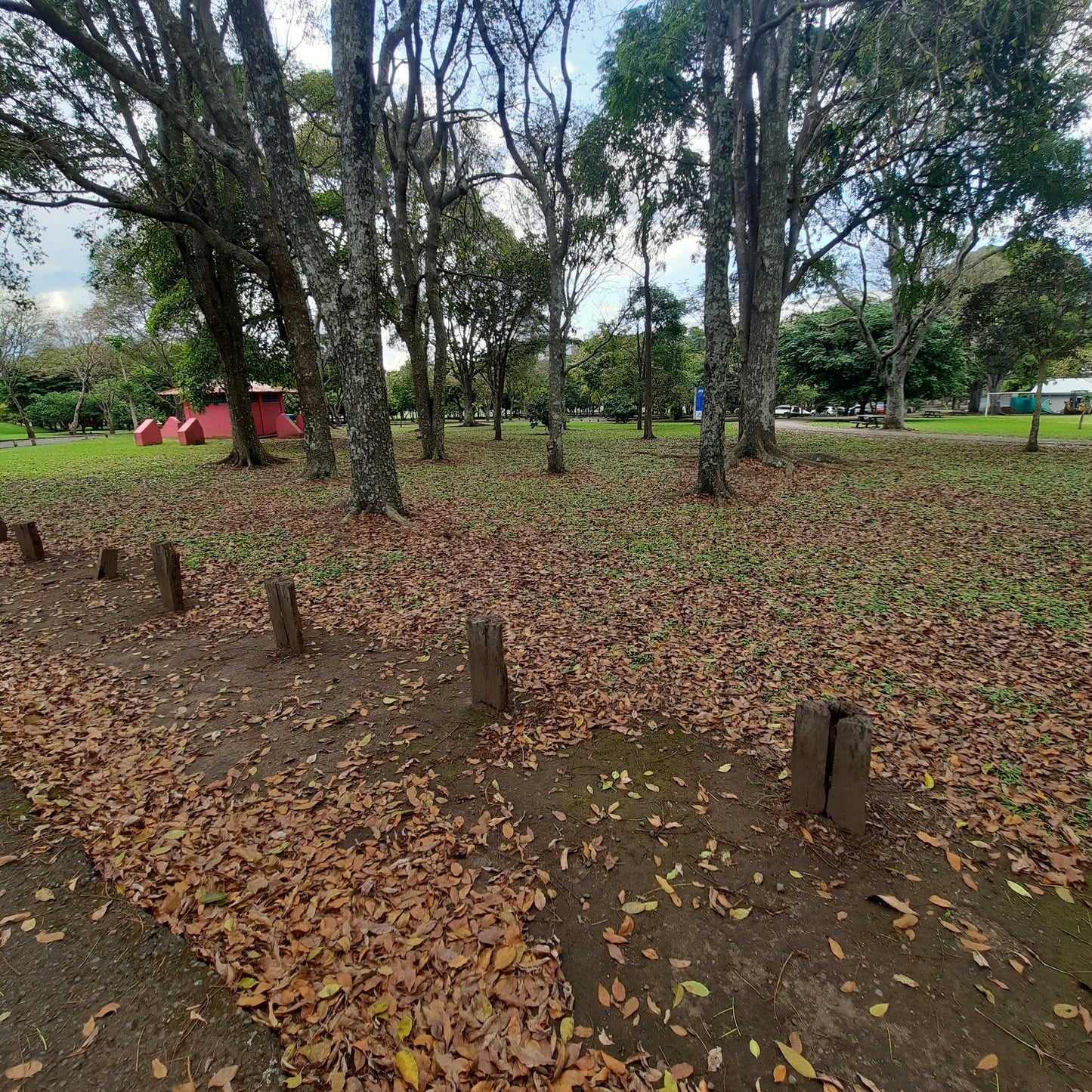 Automne Costa Rica