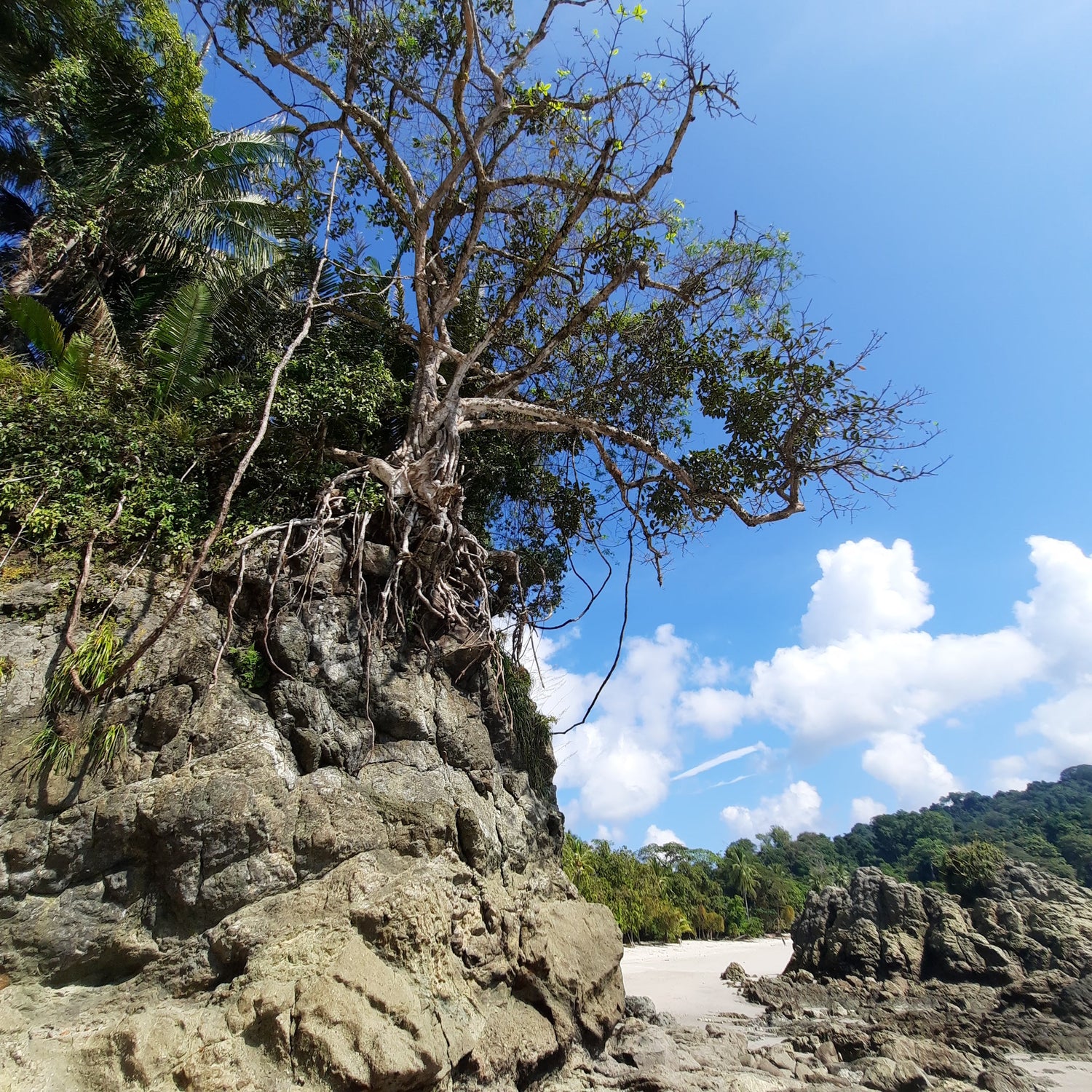 Parc National Manuel Antonio