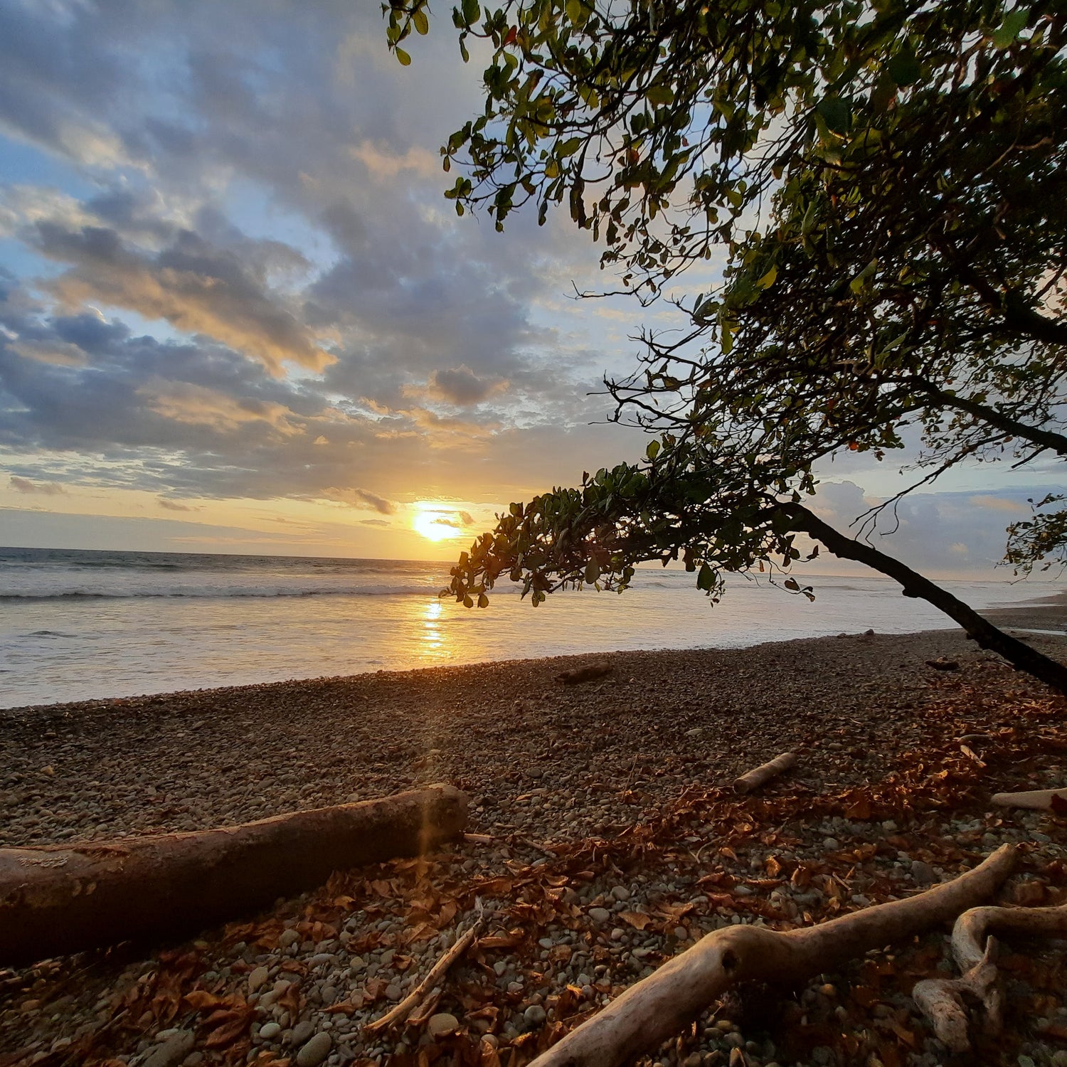 Coucher De Soleil À Dominical