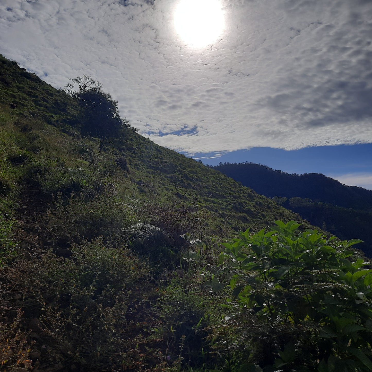 Croix Pueblo Nuevo (Le Sentier Des Vaches)