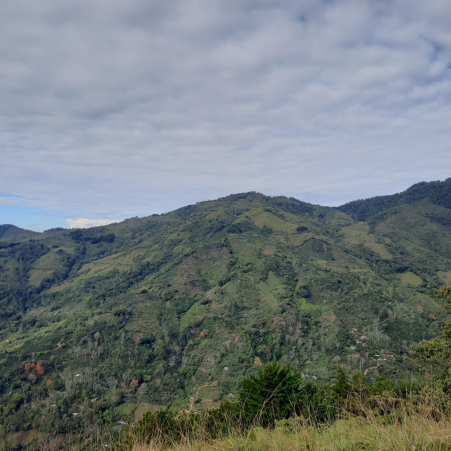 Croix Pueblo Nuevo (Le Sentier Des Vaches)